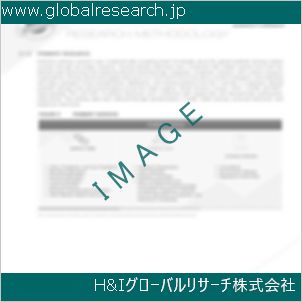 グローバルリサーチ調査資料のイメージ